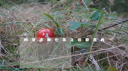 网贷逾期七年之后联系我 网贷逾期七年之后联系我