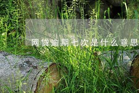 网贷逾期七次是什么意思