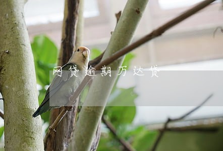 网贷逾期万达贷 网贷逾期万达贷