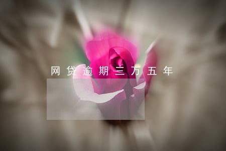 网贷逾期三万五年 网贷逾期三万五年