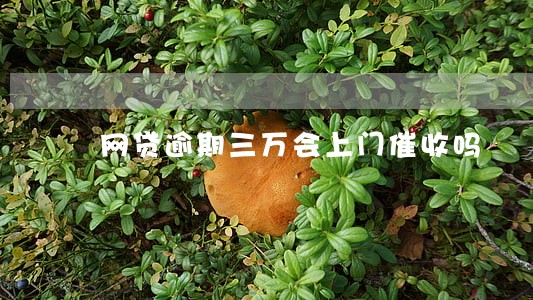 网贷逾期三万会上门催收吗 网贷逾期三万会上门催收吗