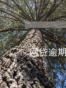 网贷逾期三万会起诉吗 网贷逾期三万会起诉吗