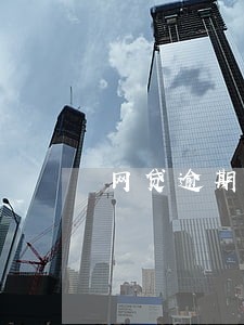 网贷逾期三万没钱还怎么办