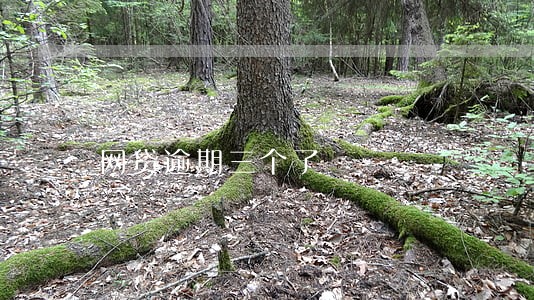 网贷逾期三个了 网贷逾期三个了