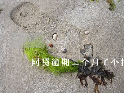 网贷逾期三个月了不打电话了 网贷逾期三个月了不打电话了