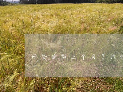 网贷逾期三个月了找我还 网贷逾期三个月了找我还
