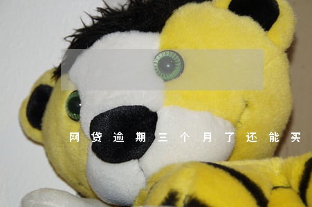 网贷逾期三个月了还能买车吗 网贷逾期三个月了还能买车吗