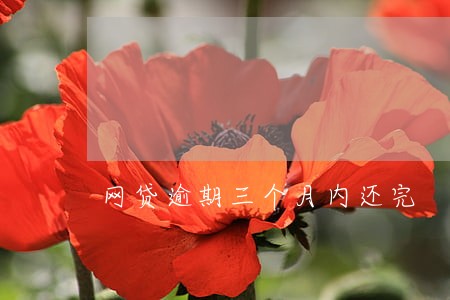 网贷逾期三个月内还完 网贷逾期三个月内还完