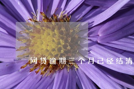 网贷逾期三个月已经结清 网贷逾期三个月已经结清
