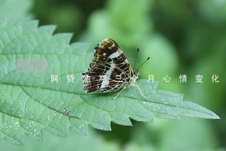 网贷逾期三个月心情变化 网贷逾期三个月心情变化