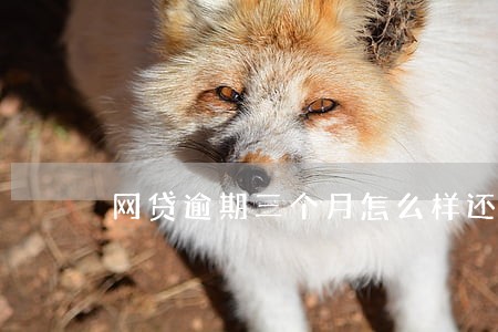 网贷逾期三个月怎么样还款