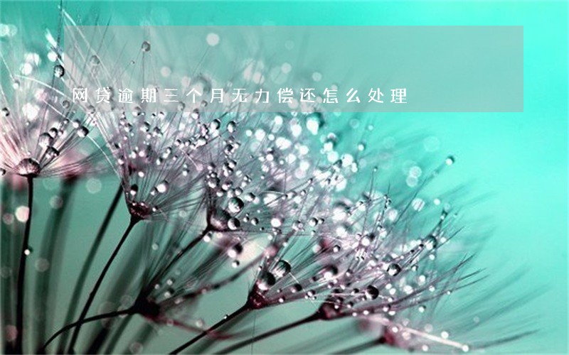 网贷逾期三个月无力偿还怎么处理 网贷逾期三个月无力偿还怎么处理