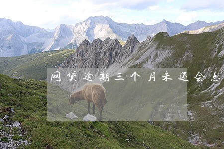 网贷逾期三个月未还会怎么样
