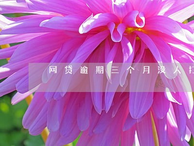 网贷逾期三个月没人打电话 网贷逾期三个月没人打电话