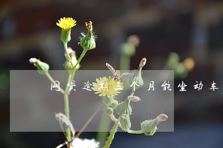 网贷逾期三个月能坐动车吗 网贷逾期三个月能坐动车吗