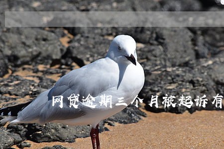网贷逾期三个月被起诉有什么后果 网贷逾期三个月被起诉有什么后果