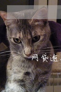 网贷逾期三个月还要接电话吗 网贷逾期三个月还要接电话吗