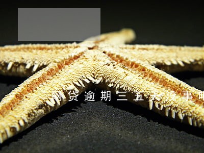 网贷逾期三五天没事吧 网贷逾期三五天没事吧