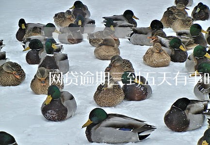 网贷逾期三到五天有事吗 网贷逾期三到五天有事吗
