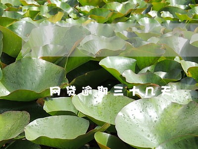 网贷逾期三十几天 网贷逾期三十几天