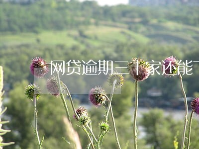 网贷逾期三十家还能下的口子 网贷逾期三十家还能下的口子