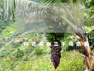 网贷逾期三千块后果 网贷逾期三千块后果