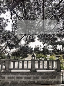 网贷逾期三千多怎么样 网贷逾期三千多怎么样