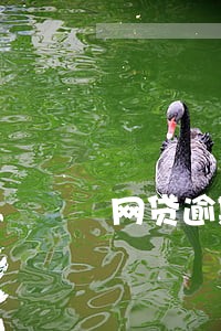 网贷逾期三四个月 网贷逾期三四个月