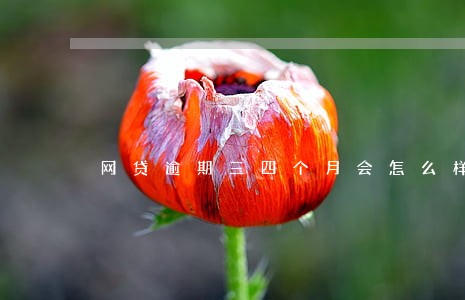 网贷逾期三四个月会怎么样 网贷逾期三四个月会怎么样