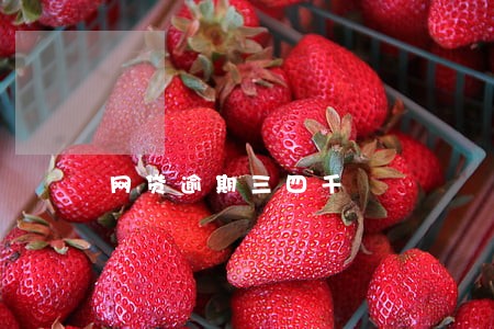网贷逾期三四千 网贷逾期三四千