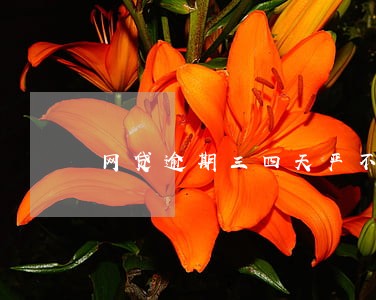 网贷逾期三四天严不严重啊 网贷逾期三四天严不严重啊