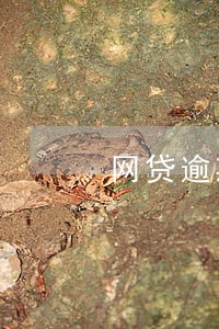 网贷逾期三四年了还能起诉吗 网贷逾期三四年了还能起诉吗