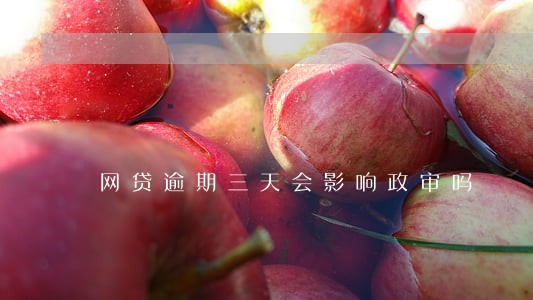 网贷逾期三天会影响政审吗 网贷逾期三天会影响政审吗