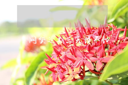 网贷逾期三天怕不怕 网贷逾期三天怕不怕