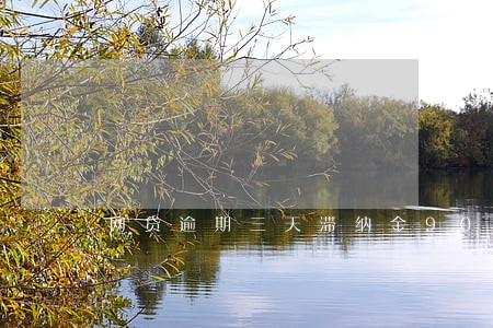 网贷逾期三天滞纳金900 网贷逾期三天滞纳金900