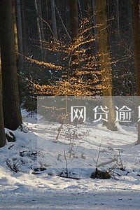 网贷逾期三天被打电话给家里 网贷逾期三天被打电话给家里