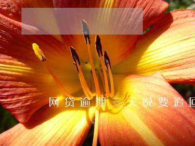 网贷逾期三天说要追回全款