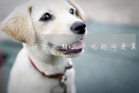 网贷逾期三天说起诉是真的假的 网贷逾期三天说起诉是真的假的