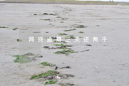 网贷逾期三天还两千 网贷逾期三天还两千