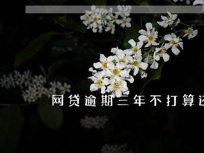 网贷逾期三年不打算还了 网贷逾期三年不打算还了