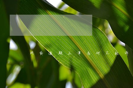网贷逾期三年为何不起诉