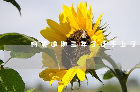 网贷逾期三年了还不上了怎么办 网贷逾期三年了还不上了怎么办