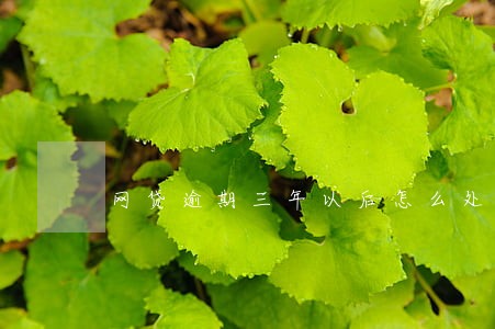 网贷逾期三年以后怎么处理