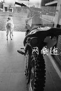 网贷逾期三年以后还上征信吗 网贷逾期三年以后还上征信吗