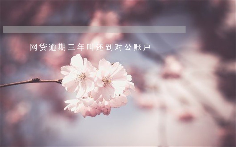 网贷逾期三年叫还到对公账户 网贷逾期三年叫还到对公账户