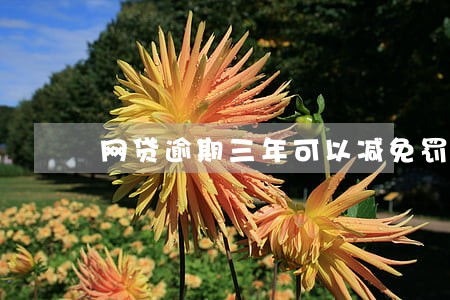 网贷逾期三年可以减免罚息吗 网贷逾期三年可以减免罚息吗