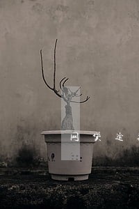 网贷逾期三年后还会被起诉吗 网贷逾期三年后还会被起诉吗