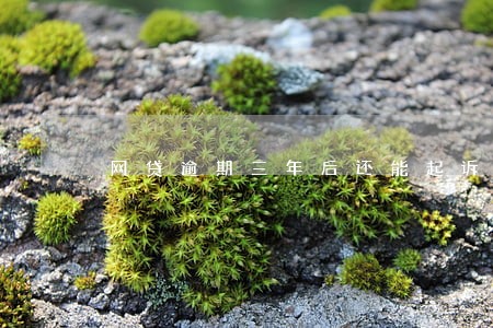 网贷逾期三年后还能起诉吗 网贷逾期三年后还能起诉吗