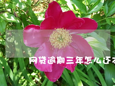 网贷逾期三年怎么还本金 网贷逾期三年怎么还本金