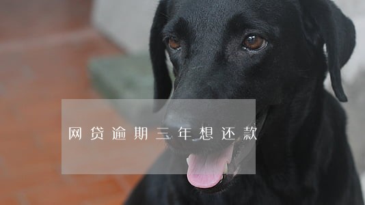 网贷逾期三年想还款 网贷逾期三年想还款